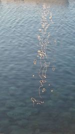 Close-up of rippled water in lake