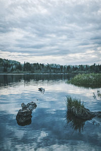 Scenic view of lake against sky