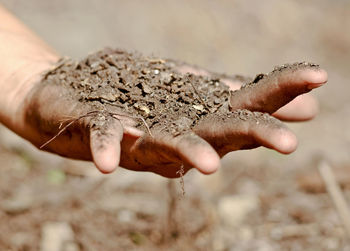 Human hand holding sand