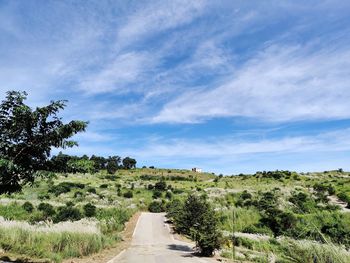 Road amidst trees on field against sky