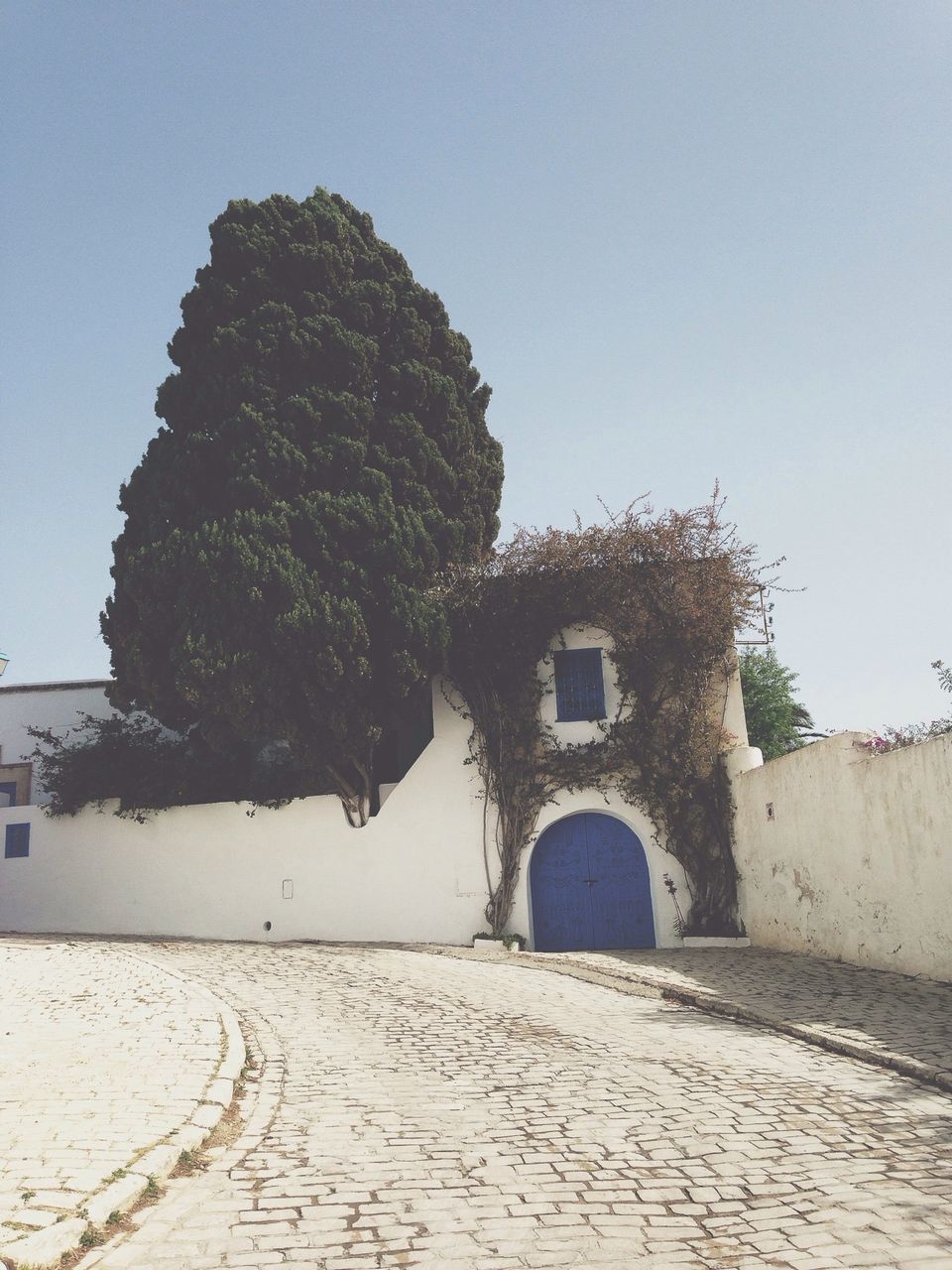 architecture, built structure, building exterior, clear sky, house, wall - building feature, tree, day, low angle view, sunlight, outdoors, stone wall, wall, residential structure, building, sky, no people, street, copy space, old