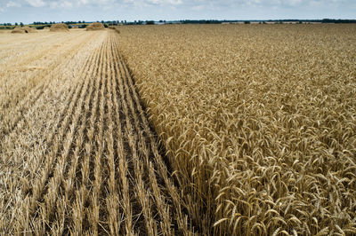 Scenic view of field against cloudy sky