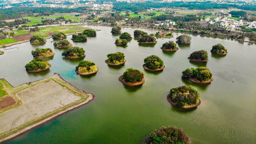 High angle view of river amidst trees