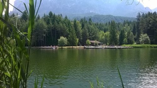 Scenic view of lake by trees against sky