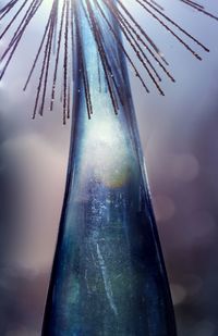 Close-up of raindrops on snow against sky