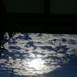 Low angle view of trees against sky