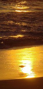 Scenic view of beach during sunset