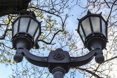 Low angle view of lantern on tree against sky