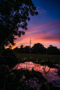 Silhouette trees by lake against sky during sunset