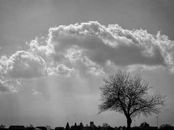 Low angle view of silhouette tree against sky