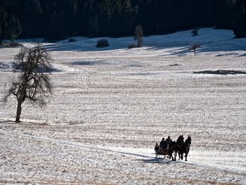 View of horse on snow covered field