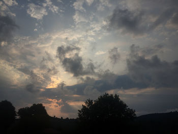 Low angle view of silhouette trees against sky during sunset