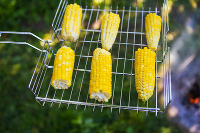 Delicious sweet corn is grilled on the grill. outdoor recreation