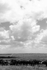 Scenic view of land against sky