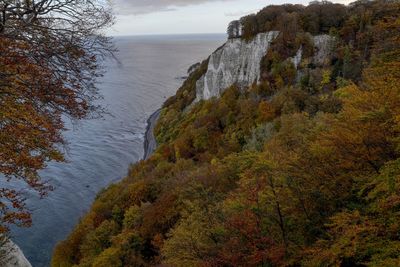 High angle view of sea and trees against sky