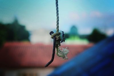 Close-up of dragonfly hanging on metal