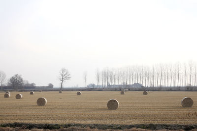 Hay bales on field against sky