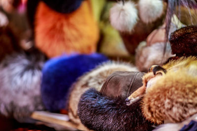 Close-up of fur hat at shop for sale