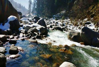 Scenic view of river stream amidst trees