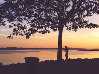 Silhouette man standing on tree at beach during sunset