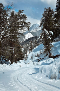 Snow covered land and trees against sky