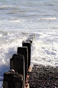 Wooden posts on beach