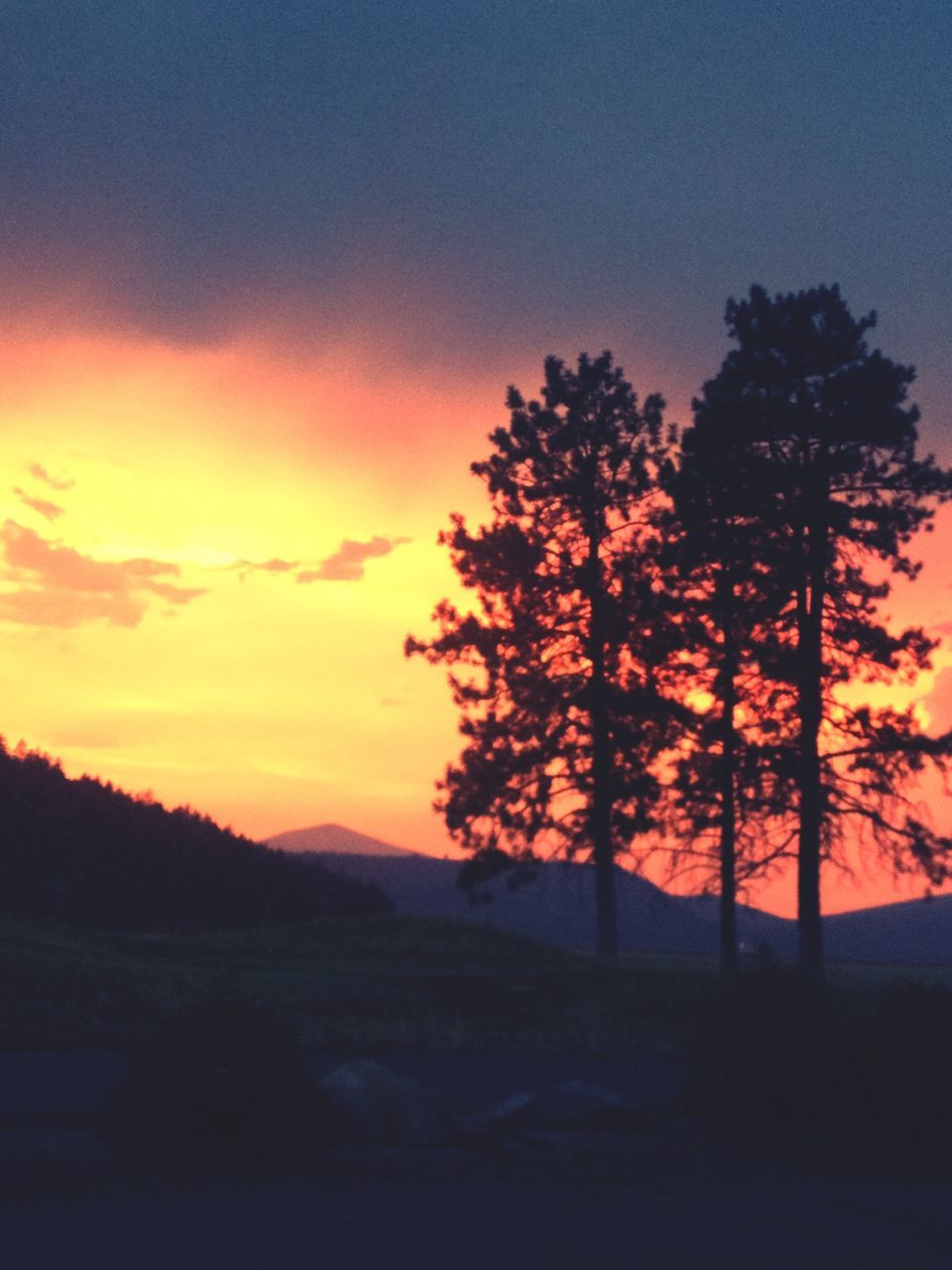 sunset, tree, scenics, beauty in nature, tranquil scene, silhouette, tranquility, sky, orange color, nature, sun, idyllic, cloud - sky, sunlight, outdoors, growth, no people, non-urban scene, majestic, cloud