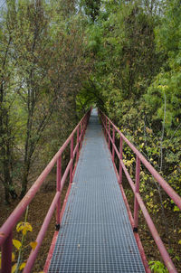 Footbridge amidst trees in forest