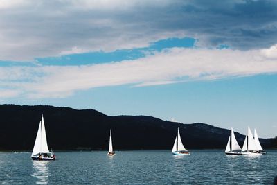 Sailboats sailing on sea against sky