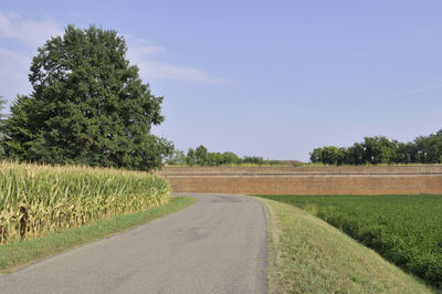 Road amidst agricultural field against sky