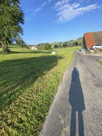 Shadow of man on road