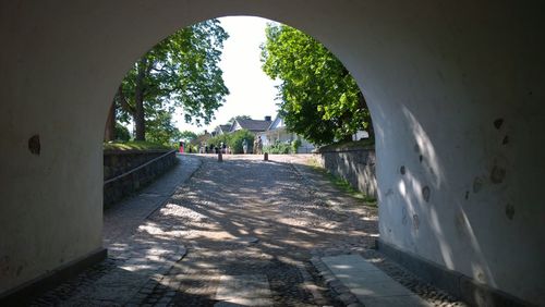 Trees seen through archway