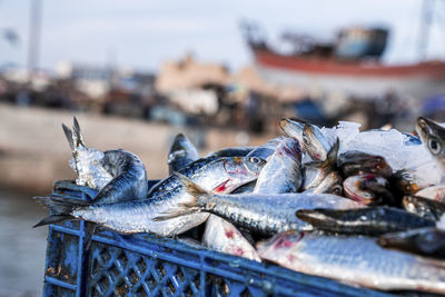 Freshly caught fish sorted in crates with ice for transport and sale at dock