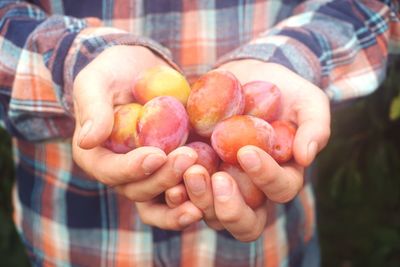 Midsection of man holding plum