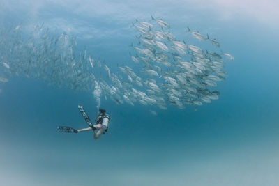 Low angle view woman swimming by fish in sea