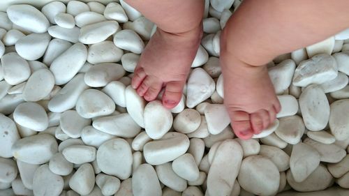Low section of baby feet