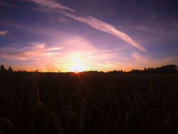 Scenic view of field against sky during sunset