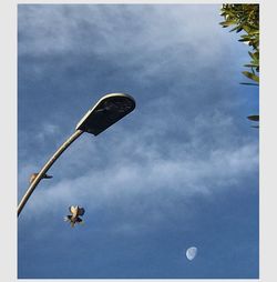 Low angle view of basketball hoop against sky