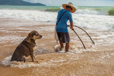 Full length of dog on beach