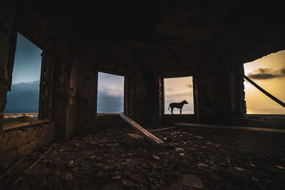 Silhouette man standing in abandoned building