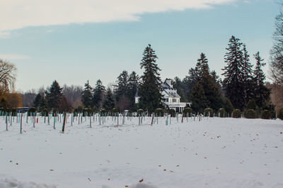 Panoramic view of beach against sky during winter