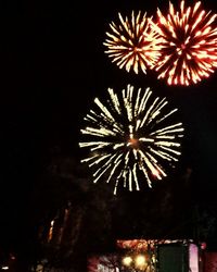 Firework display at night