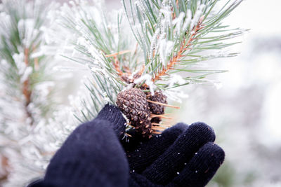 Close-up of hand on tree against sky