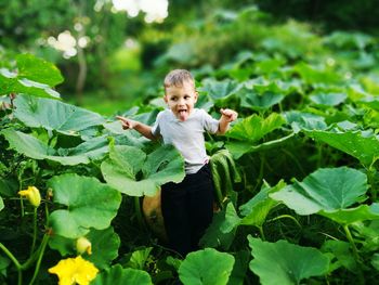 Tilt-shift image of cute boy sticking out tongue amidst plants on field