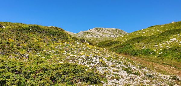 Scenic view of mountains against clear blue sky