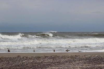 Scenic view of beach and sea against sky