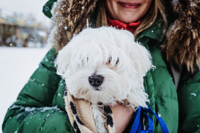 Pet care in winter cold season. woman warming her maltese dog in her jacket. faceless woman and