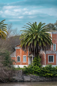 Palm trees by building against sky