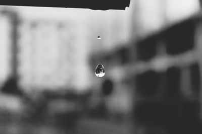 Close-up of water drops in mid-air