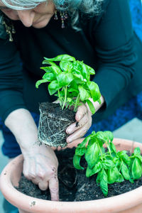 Midsection of woman holding potted plant